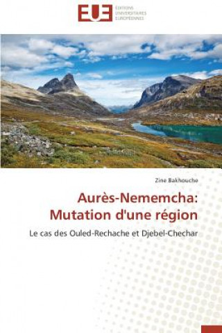 Aur s-Nememcha