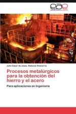 Procesos Metalurgicos Para La Obtencion del Hierro y El Acero