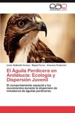 Aguila Perdicera en Andalucia