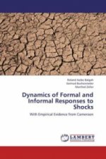 Dynamics of Formal and Informal Responses to Shocks