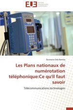 Les Plans Nationaux de Num rotation T l phonique