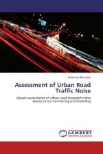 Assessment of Urban Road Traffic Noise