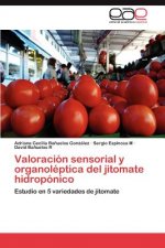 Valoracion sensorial y organoleptica del jitomate hidroponico