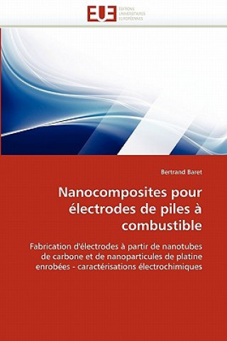 Nanocomposites Pour  lectrodes de Piles   Combustible