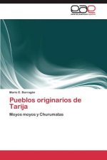 Pueblos originarios de Tarija