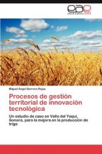 Procesos de gestion territorial de innovacion tecnologica