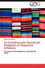 Construccion Social del Indigena en Espacios Urbanos