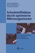 Schadstoffabbau Durch Optimierte Mikroorganismen