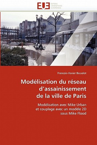Modelisation du reseau d''assainissement de la ville de paris
