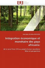 Integration economique et monetaire des pays africains