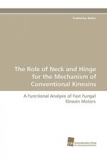 Role of Neck and Hinge for the Mechanism of Conventional Kinesins