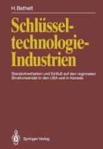 Schlusseltechnologie-Industrien