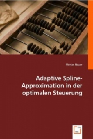 Adaptive Spline-Approximation in der optimalen Steuerung