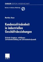 Kundenzufriedenheit in Industriellen Geschaftsbeziehungen