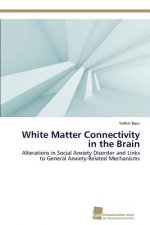 White Matter Connectivity in the Brain
