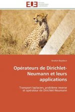 Op rateurs de Dirichlet-Neumann Et Leurs Applications