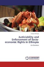Justiciability and Enforcement of Socio-economic Rights in Ethiopia