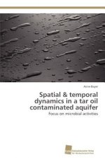 Spatial & temporal dynamics in a tar oil contaminated aquifer