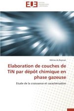 Elaboration de Couches de Tin Par D p t Chimique En Phase Gazeuse