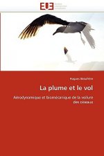 Plume Et Le Vol