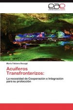 Acuiferos Transfronterizos