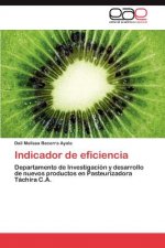 Indicador de eficiencia