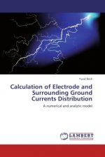 Calculation of Electrode and Surrounding Ground Currents Distribution