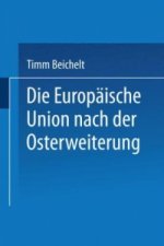 Die Europaische Union Nach der Osterweiterung
