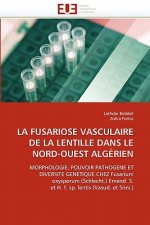 Fusariose Vasculaire de la Lentille Dans Le Nord-Ouest Alg rien