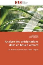 Analyse Des Pr cipitations Dans Un Bassin Versant