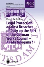 Legal Protection against Breaches of Duty on the Part of the German Works Council - A Fata Morgana?