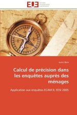 Calcul de precision dans les enquetes aupres des menages