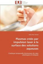 Plasmas Cr  s Par Impulsion Laser   La Surface Des Solutions Aqueuses