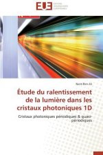 tude Du Ralentissement de la Lumi re Dans Les Cristaux Photoniques 1d