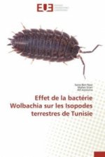 Effet de la bactérie Wolbachia sur les Isopodes terrestres de Tunisie