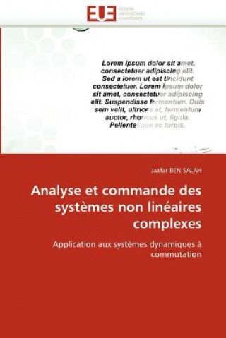 Analyse et commande des systemes non lineaires complexes