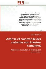 Analyse et commande des systemes non lineaires complexes