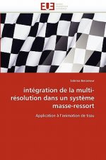 Int gration de la Multi-R solution Dans Un Syst me Masse-Ressort