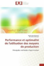 Performance et optimalité de l'utilisation des moyens de production