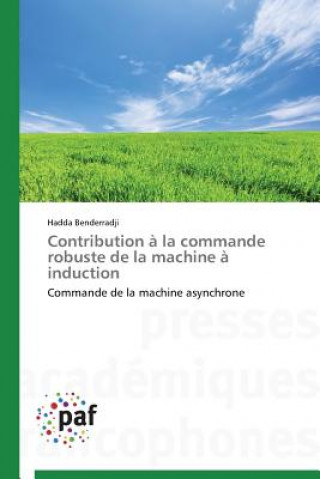 Contribution A La Commande Robuste de la Machine A Induction