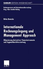 Internationale Rechnungslegung Und Management Approach