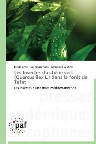 Les Insectes Du Chene Vert (Quercus Ilex L.) Dans La Foret de Tafat