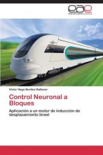 Control Neuronal a Bloques