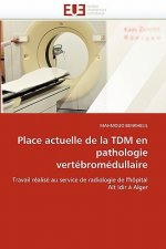 Place actuelle de la tdm en pathologie vertebromedullaire