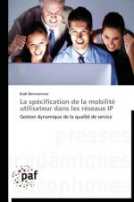 Specification de la Mobilite Utilisateur Dans Les Reseaux IP
