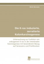 Die K-ras induzierte, serratierte Kolonkarzinogenese