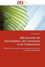 Mecanismes de germination, de croissance et de coalescence