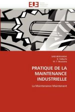 Pratique de la Maintenance Industrielle