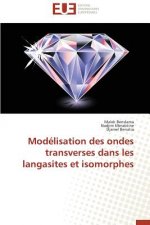 Mod lisation Des Ondes Transverses Dans Les Langasites Et Isomorphes