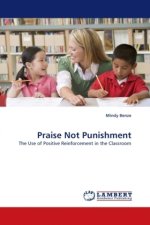 Praise Not Punishment